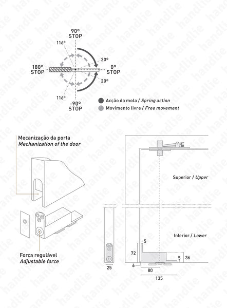 D.1992 - Pivot with double action spring - Stainless Steel
