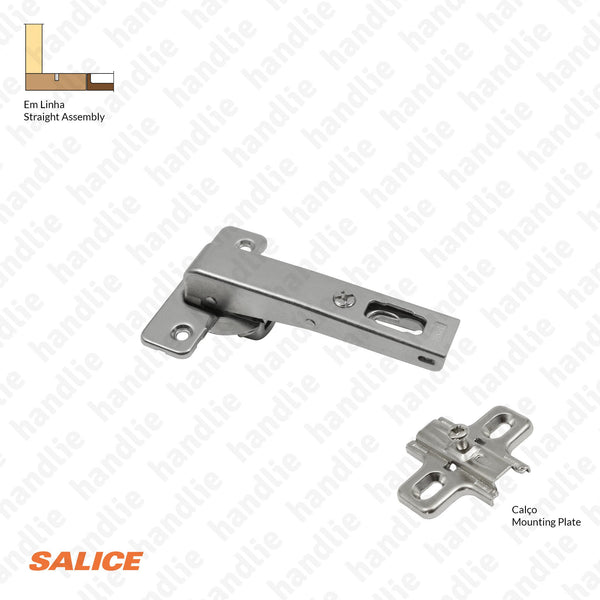 C2ABN99AC - Salice Hinge