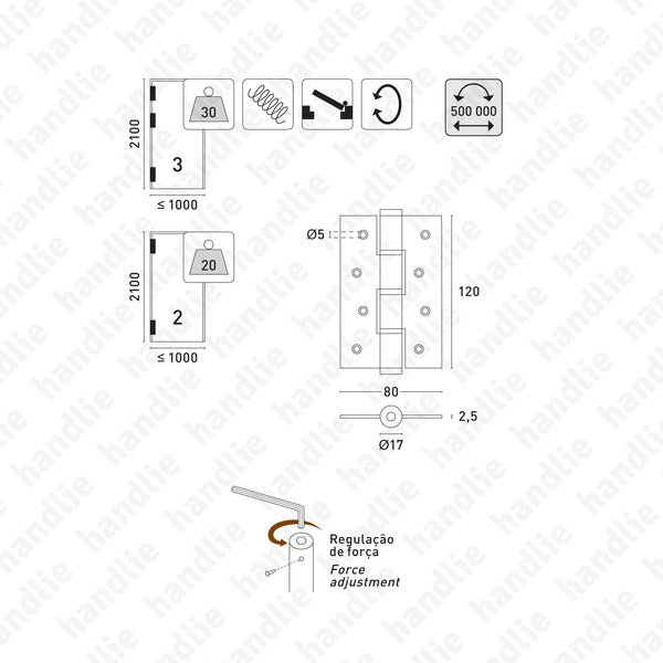 DM.5314J Spring - Single action spring hinge - Stainless Steel