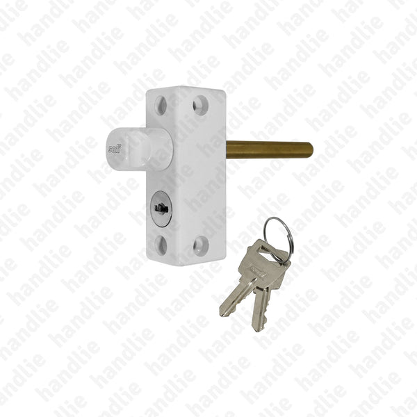 FX.11545 - Security bolt